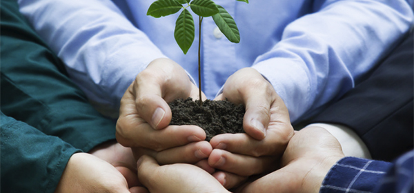 Formação de Auditor Líder ISO 14001 Biocert, Formação de Auditor Líder ISO 14001